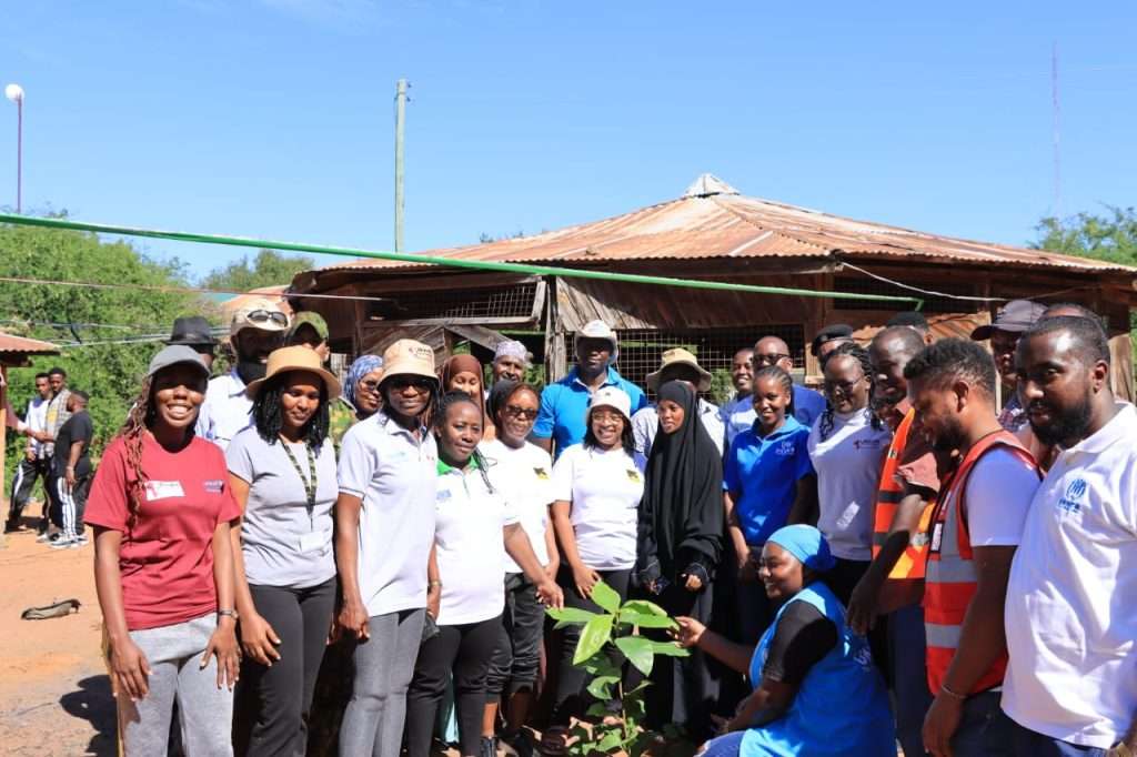 Environmental Conservation